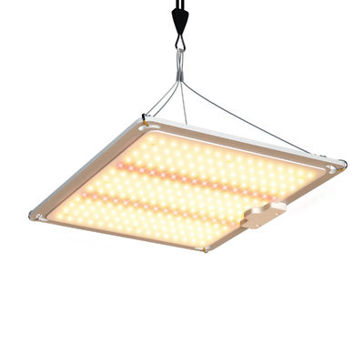 600w HPS 4x4 Grow Light Plant Lamp Bevorder bloei en vruchtbaarheid