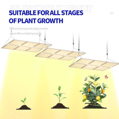 600W Full Spectrum LED Kweeklamp met Dimfunctie voor Optimale Plantengroei