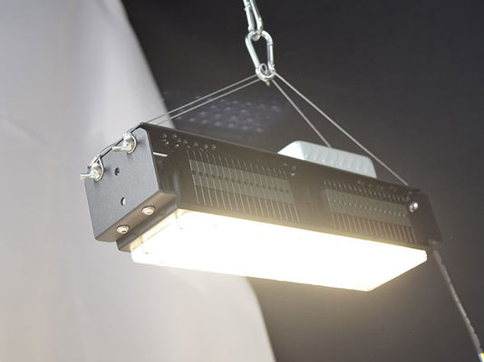 50W Full Spectrum LED Kweeklamp voor Kamerplanten met AC85-265V Spanning