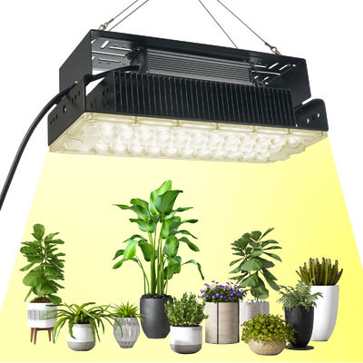 100W Full Spectrum LED Grow Light met SMD3030 LED's voor binnenshuisplanten en tuinen