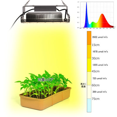 100W Full Spectrum LED Grow Light met SMD3030 LED's voor binnenshuisplanten en tuinen