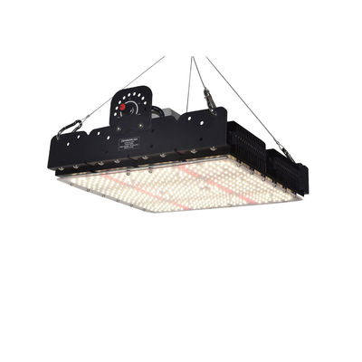 Full Spectrum 250W T5 LED Kweeklamp met Passief Thermisch Beheer voor Kamerplanten