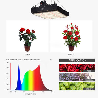 Full Spectrum 250W T5 LED Kweeklamp met Passief Thermisch Beheer voor Kamerplanten