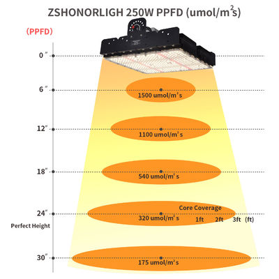 Full Spectrum 250W T5 LED Kweeklamp met Passief Thermisch Beheer voor Kamerplanten
