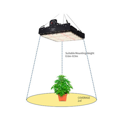 Full Spectrum 250W T5 LED Kweeklamp met Passief Thermisch Beheer voor Kamerplanten