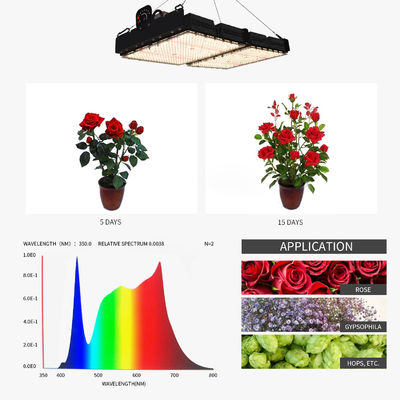 PPFD Lezing Led Grow Light Lampen Voor Innenplanten NR Spectrum