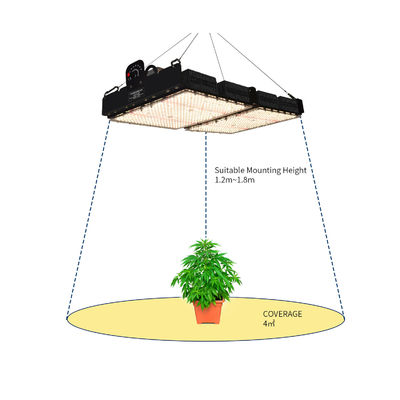 PPFD Lezing Led Grow Light Lampen Voor Innenplanten NR Spectrum