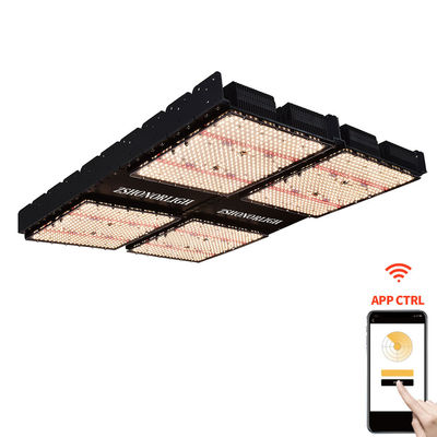 1000W Indoor House Plant Lights 4x4 Groei licht