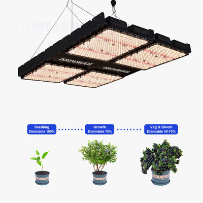 1000W Full Spectrum Dimmable LED Grow Light voor binnenplanten met timer control