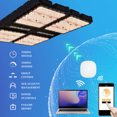 1000W Full Spectrum Dimmable LED Grow Light voor binnenplanten met timer control