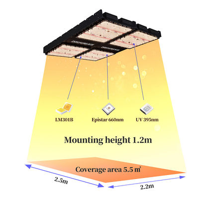 1000W Full Spectrum Dimmable LED Grow Light voor binnenplanten met timer control