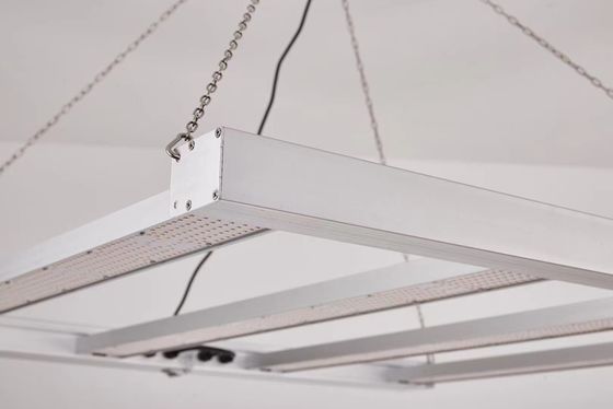 Opvouwbare 600W Full Spectrum LED Kweeklamp voor Commerciële Plantenteelt