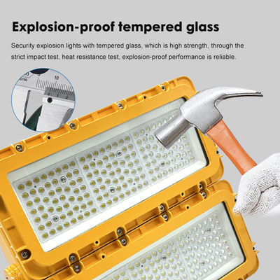 Hoge helderheid IP65 waterdicht 150W-600W LED explosiebestendige verlichting voor gevaarlijke locaties