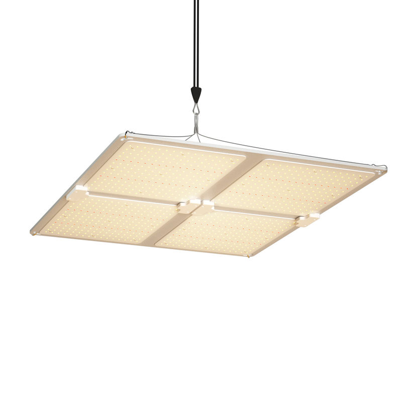 400W Vermogen Output Volledig Spectrum LED Kweeklamp met Verstelbare Ophanghoogte voor Binnenplantengroei