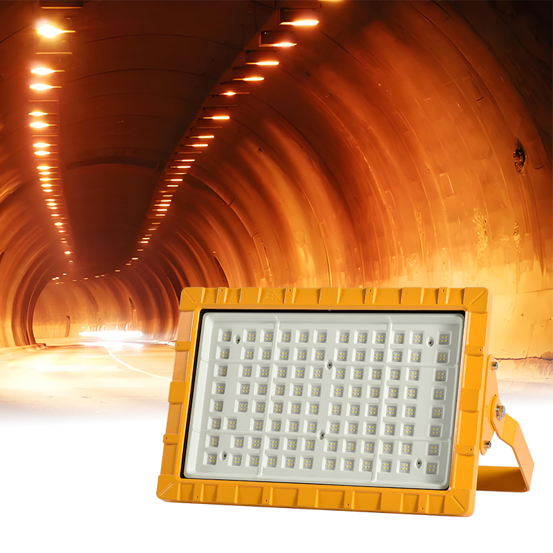 IP66 Explosieveilige LED Lamp 50W 100W 150W 200W Eenvoudige Installatie