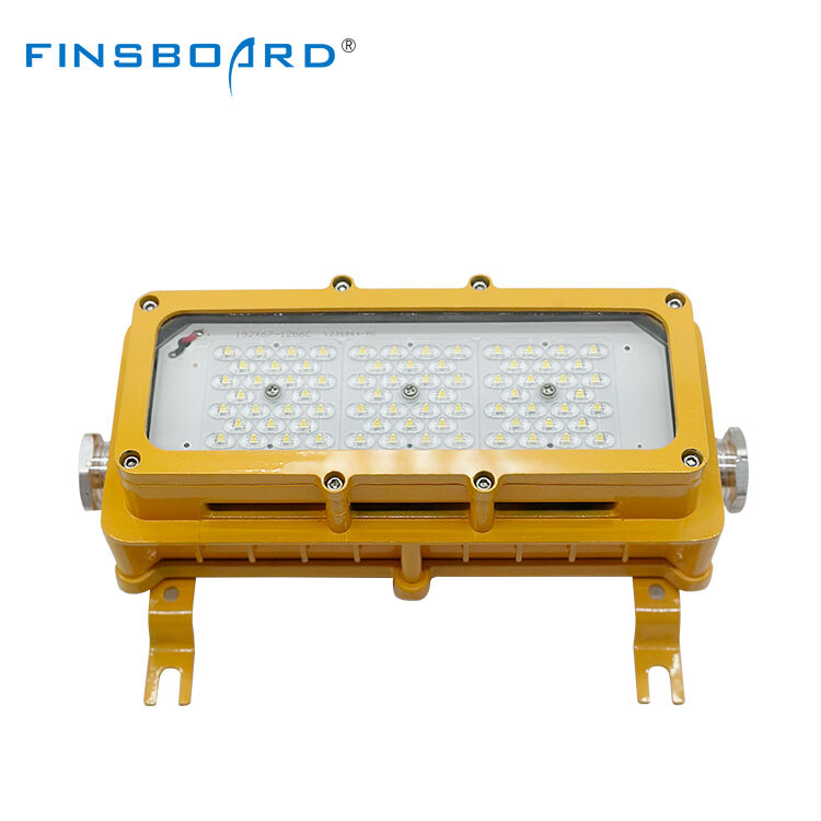 Ondergrondse tunnel kabeldoorvoer explosieveilige overstromingslamp IP65 waterdicht 50W LED explosieveilige lamp