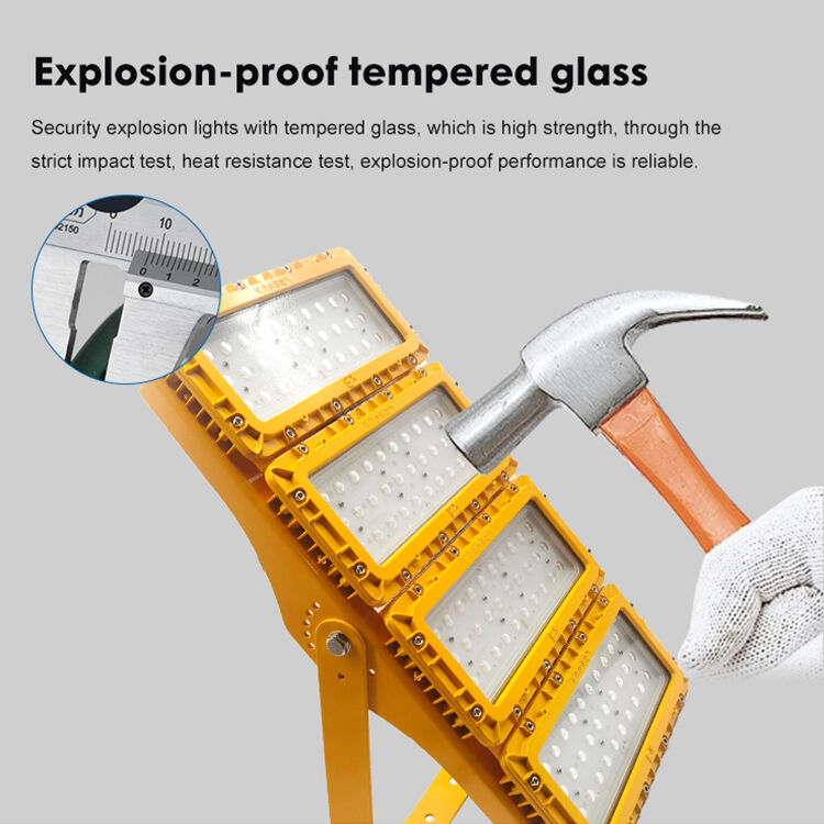 300W LED explosieveilige schijnwerper 60° flensmontage scheepsrok Neutraal wit ATEX IIB T6 IP65 RFEPL8280 Verlichting