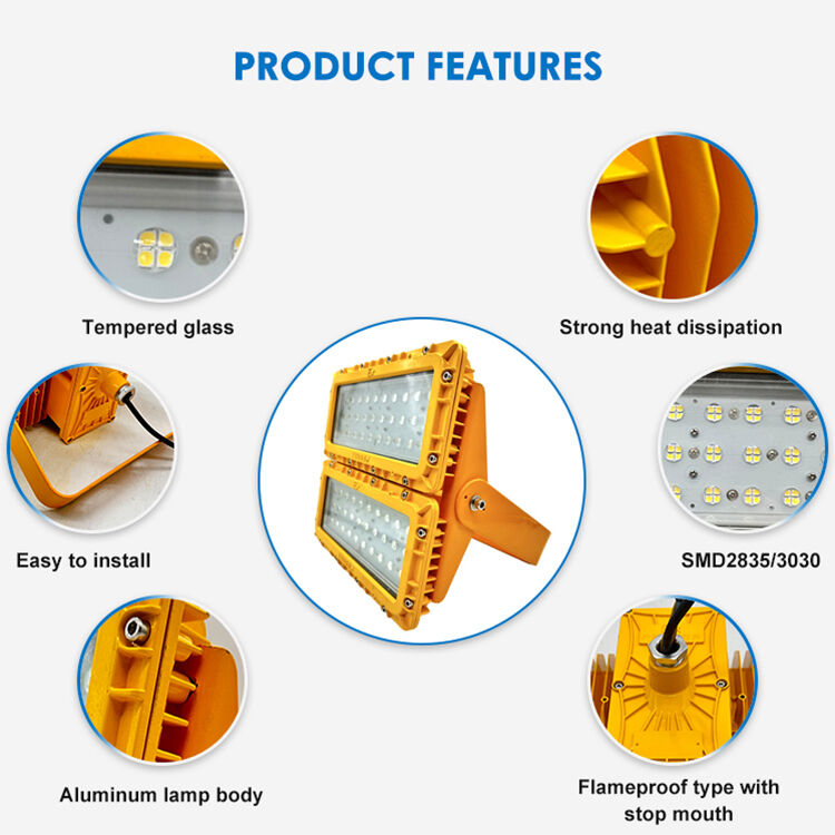 600W LED explosiebestendige overstromingslicht 60° Offshore FPSO Platform ATEX IIB T6 IP65 RFEPL8280 Verlichting