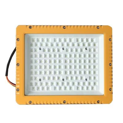 OEM Gevaarlijke explosiebestendige verlichtingsinstallaties Wandmontage Flood Light