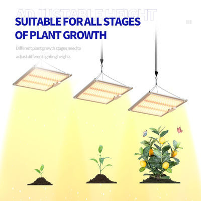 600w HPS 4x4 Grow Light Plant Lamp Bevorder bloei en vruchtbaarheid