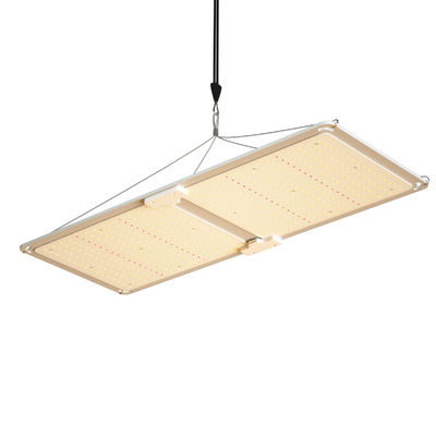 200W Volledig Spectrum Dimbaar LED Kweeklamp T5 Kasverlichtingssysteem voor Plantengroei