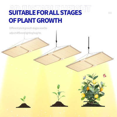 200w LED T5 Grow Lights Kasverlichtingssysteem