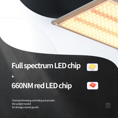 200w LED T5 Grow Lights Kasverlichtingssysteem
