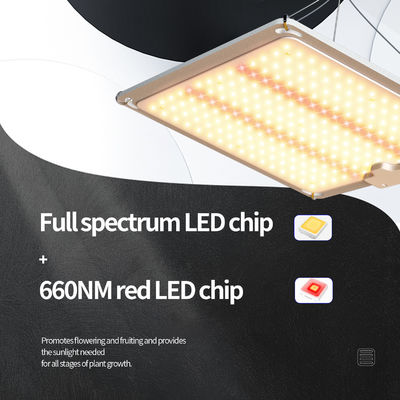 Aluminium 400w Led Grow Light Voor Huis Plant SMD2835 Volledig Spectrum