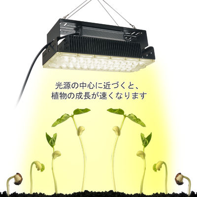 100w Indoor 5x5 Grow Light Voor Indoor Garden Succulents Plants SMD3030