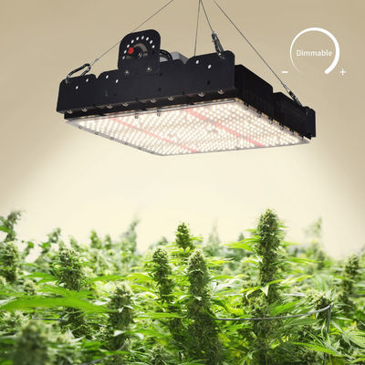 Full Spectrum T5 Led Grow Light voor binnenplanten 250w