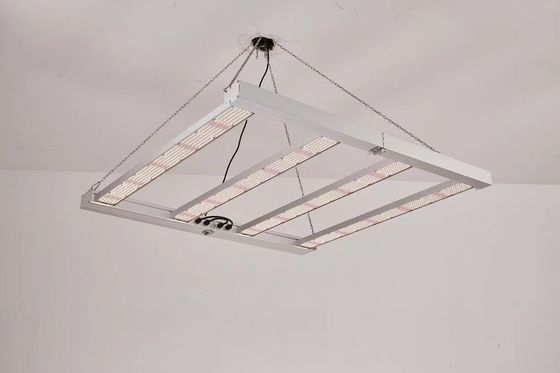 Opvouwbaar 4T Led Grow Light 600W 800W Voor commerciële