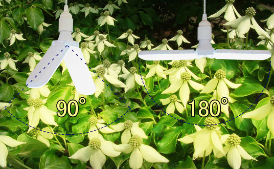 Compacte LED-groeilampen voor groenten 20W 40W IP68 waterdicht